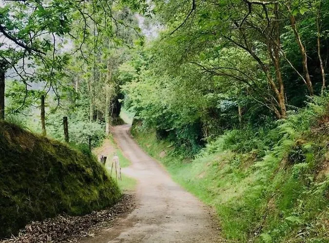 Dosal Hébergement de vacances Ruiseñada